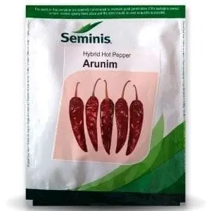 Arunim Chilli Seeds - Semi Erect, Attractive Red, Medium Pungent 1