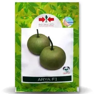 Arya F1 Bottle Gourd 1