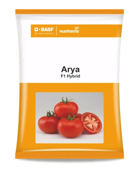 Arya F1 Hybrid Tomato 1