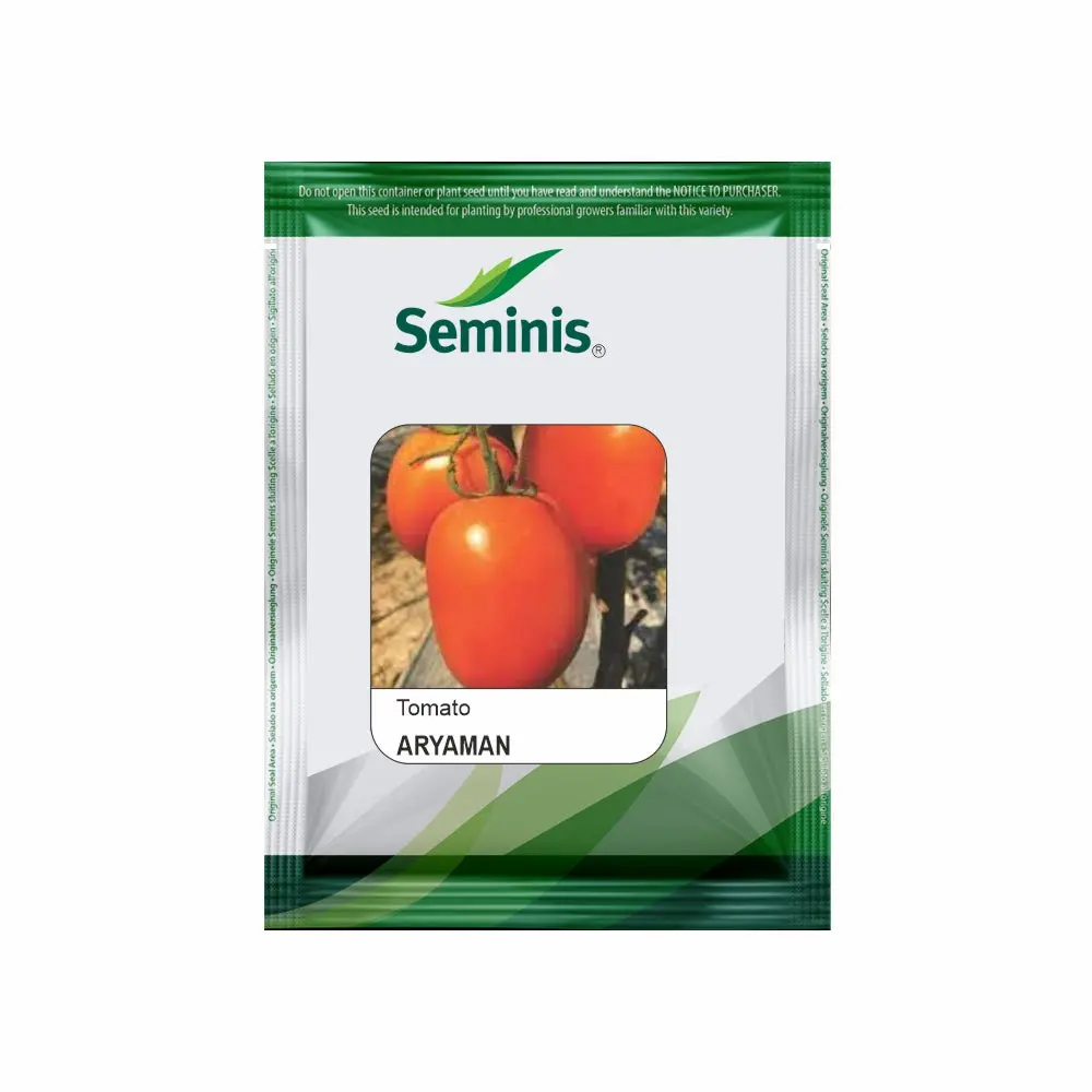 Seminis Aryaman Tomato Seeds 1