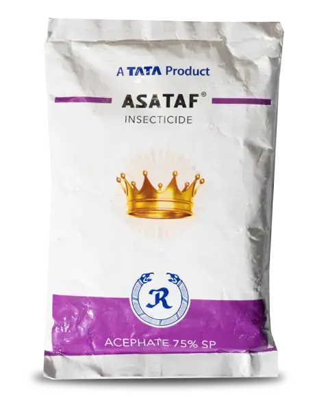 Asataf Insecticide (Acephate 75% Sp) - Systemic & Contact Action 1