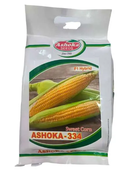 Ashoka-334 (F1 Hybrid) Sweet Corn Seeds 1