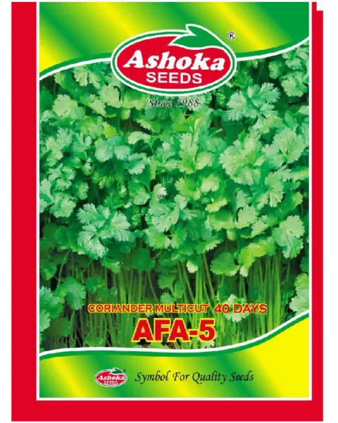 Ashoka Afa-5 Coriander Seeds- Italian Variety, Slow Bolting, Multi Cut, Aromatic 1