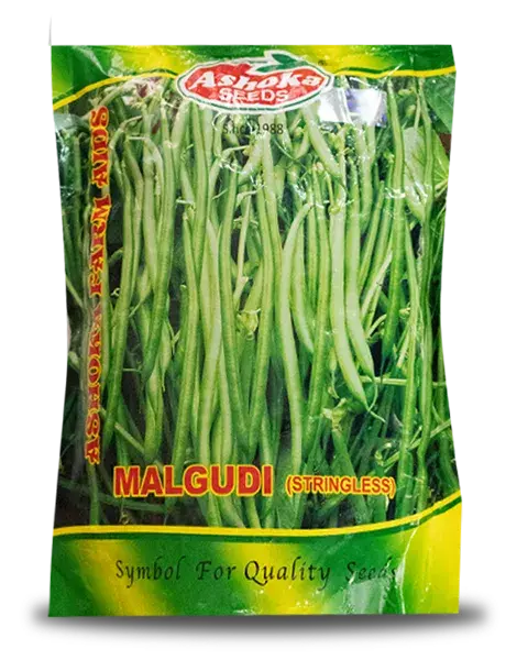 Malgudi Beans Seeds - High Yield, Dark Green, Stringless Pods 1