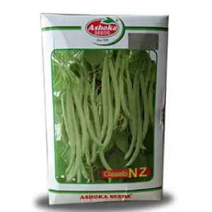 Classic Nz Beans - Pole Type, White Flower, Disease Tolerant 1