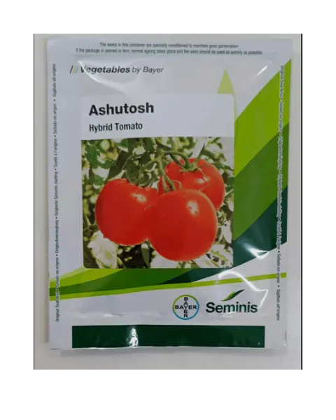 Seminis Ashutosh Tomato Hybrid Seeds - Flat Round Red Tomato 1