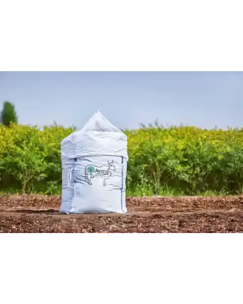Avana Kapila Murghas Bag 1