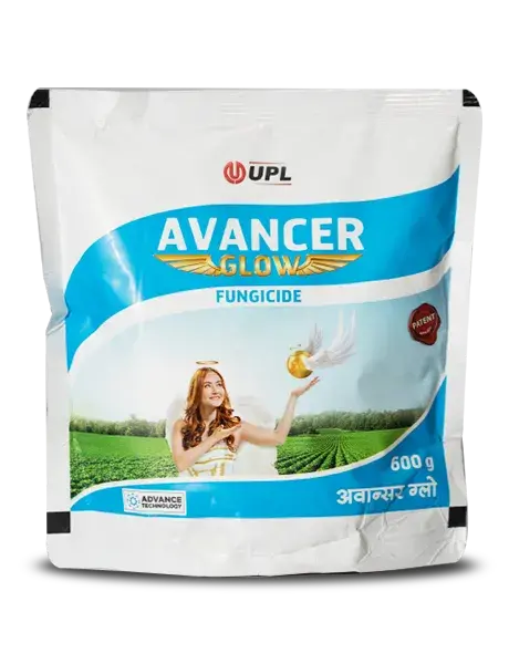 Upl Avancer Glow Fungicide – Superior Disease Control With Phytotonic Effect 1