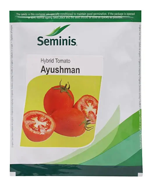 Ayushman Tomato 1