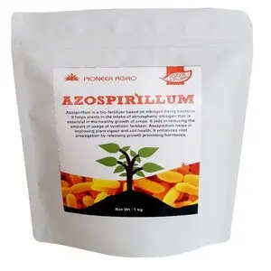 Pioneer Agro Azospirillum Biofertilizer - Nitrogen Fixing Bacteria (Nfb) 1