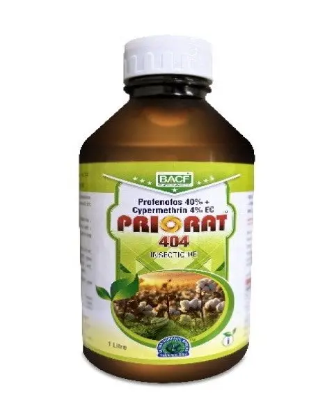 Bacf Priorat 404 1