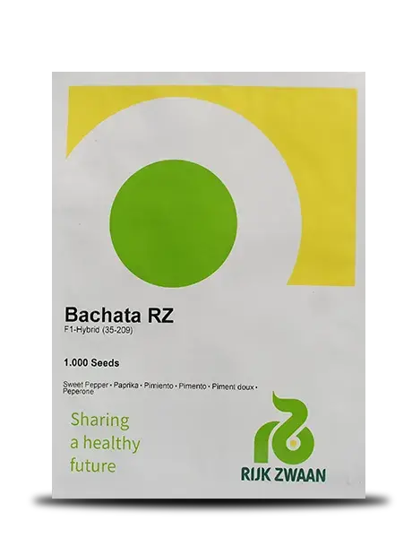Bachata Rz F1 Yellow Capsicum- Fast Growing, Compact Plant, Large Bright Fruits 1