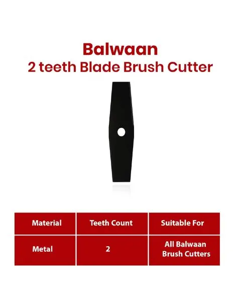 Balwaan Blade-2T 1