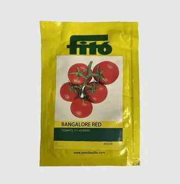 Bangalore Red Tomato - Semi- Determinate, High Yield, Firm Fruit 1