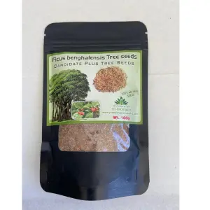Pioneer Agro Banyan Tree Seeds 1