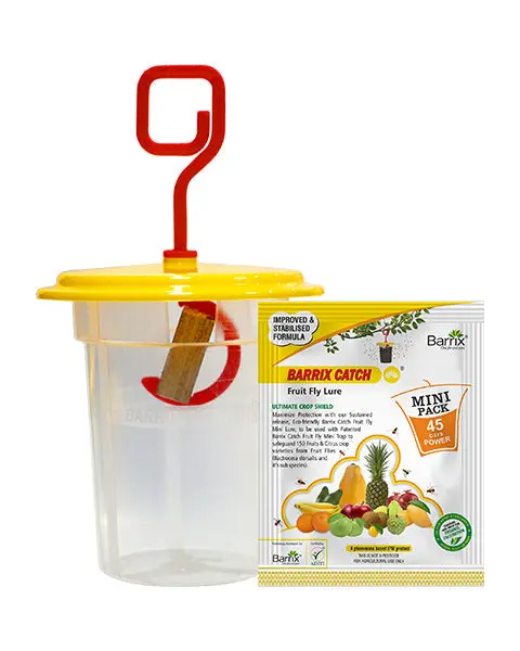 Barrix Catch Fruit Fly Trap Set – Mini 1