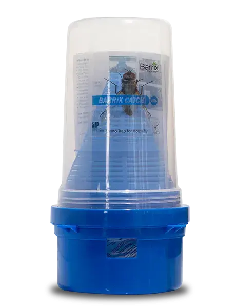 Catch Housefly Domo Trap Set By Barrix – Non-Toxic & Long-Lasting Fly Trap 1