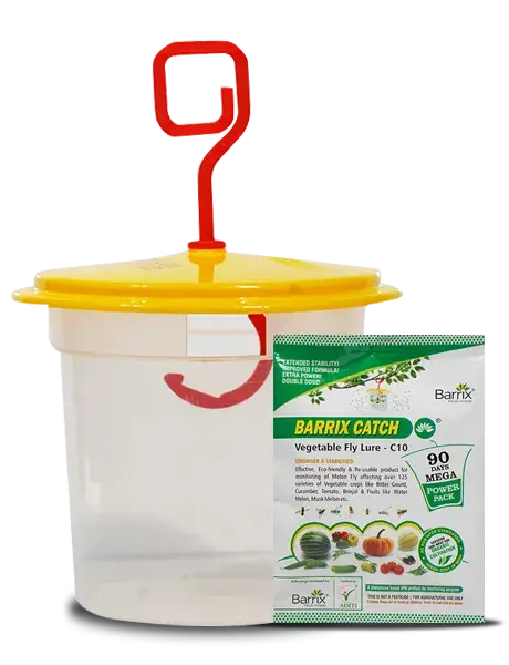Barrix Catch Vegetable Fly Lure + Trap – Eco-Friendly Trap For Vegetable Flies 1
