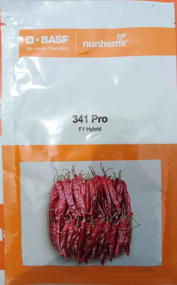 Basf-Nunhems 341 Pro 1
