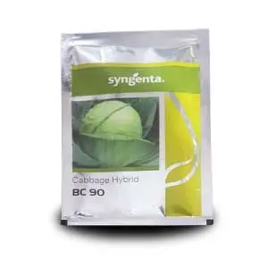 Bc 90 Cabbage Seeds 1