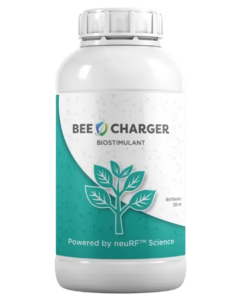 Nanobee Bee-Charger - Smart Nutrient Uptake Enhancer 1