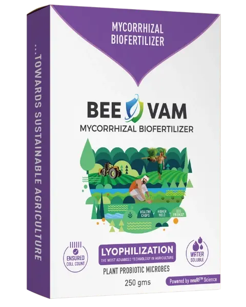 Bee Vam Mycorrhizal Biofertilizer (Vesicular Arbuscular Mycorhiza) 1