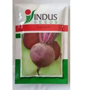 Indus Beet Root Sindhu Hybrid Seeds 1