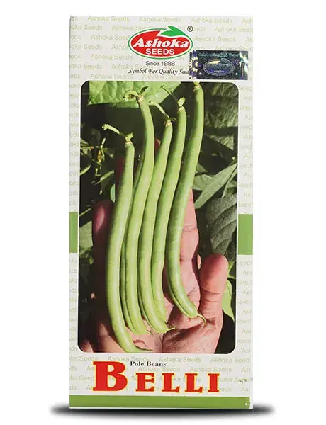 Ashoka Pole Belli Beans Seeds 1