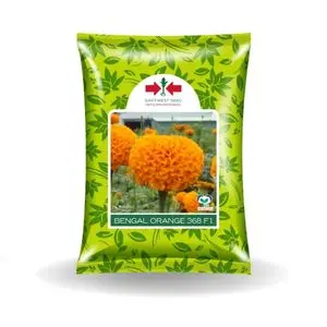 Bengal Orange Marigold 1