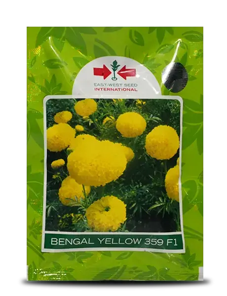 Bengal Yellow 359 F1 Marigold 1