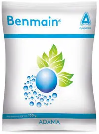 Benmain Fungicide: Powerful Systemic Protection Against Fungal Diseases 1