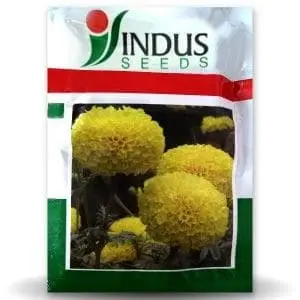 Benz Tall Marigold Seeds - Lemon Yellow, Compact Flowers, High Yield 1