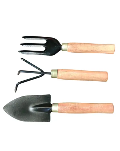Bharat 3 Piece Wooden Gardening Tool Kit 1