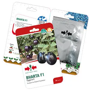 Bharta 436 F1 Brinjal 1