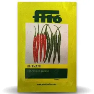 Bhavani Chilli Seeds - Very Hot, Firm Fruit, Uniform Length 1
