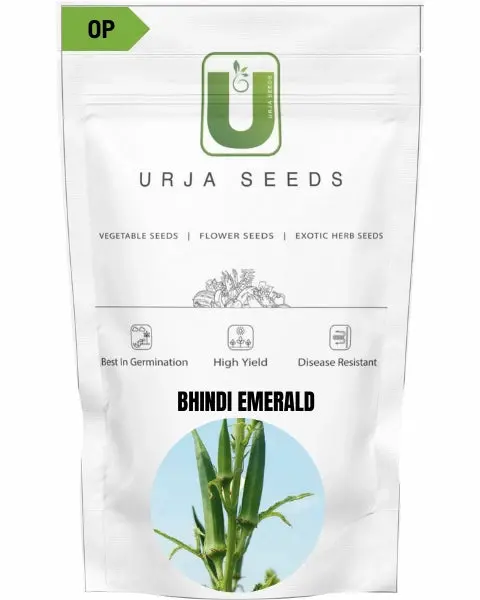 Bhindi F1 Ridhima Seeds – High-Yield & Disease Resistance 1