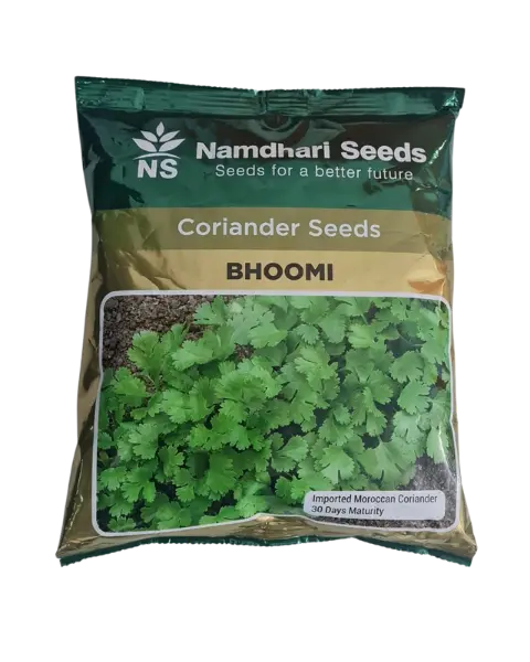 Bhoomi Coriander Seeds: Aromatic, Multi-Cut, High-Yield Variety 1