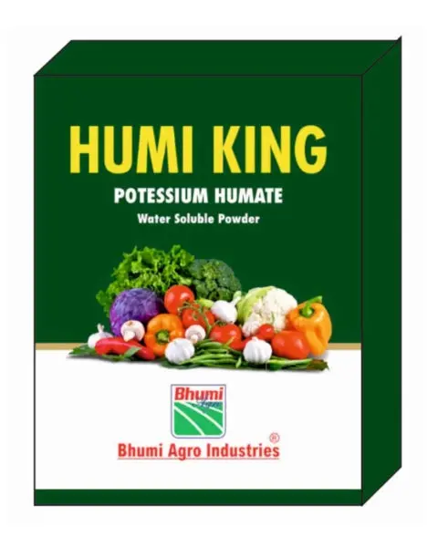 Bhumi Humi King 1