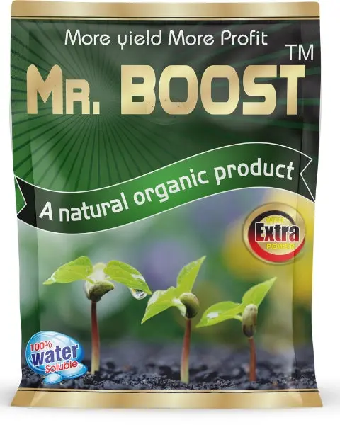 Bhumi Mr. Boost 1