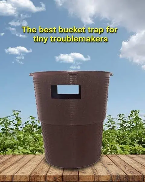 Bucket Trap- Control Red Palm Weevil, Rhinoceros Beetle & White Grub (Ipm Suitable) | Tapas 1