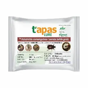 White Grub (Holotrichia Beetle) Pheromone Lure For Sugarcane, Guava, Groundnut & More (Ipm Suitable) | Tapas 1