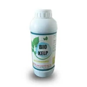 Sun Bio Kelp (Growth Promoter Australian Seaweed Extract) 1