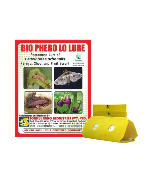 Bio Phero Lo Lure (Leucinodes Orbonalis) Lure With Delta Trap 1