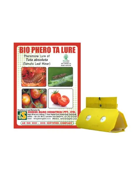 Bio Phero Ta Lure (Tuta Absoluta) Lure With Delta Trap 1