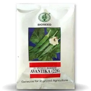 Avantika Bhendi (Okra) (अवंतिका भिंडी) 1