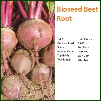 Bioseed Beet Root 1