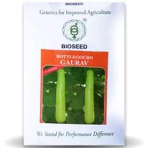 Gaurav Bottle Gourd ( गौरव लौकी ) 1