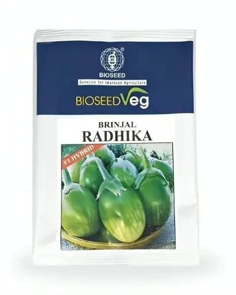 Bioseed Radhika F1 Hybrid Brinjal Seeds 1