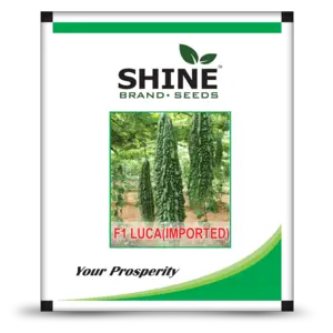 Shine Bitter Gourd Hybrid F1 Luca Seeds 1