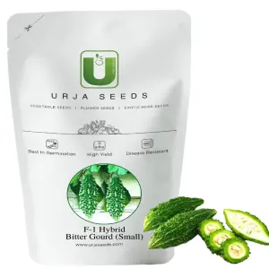 Bitter Gourd F1 Seeds Us 444 1